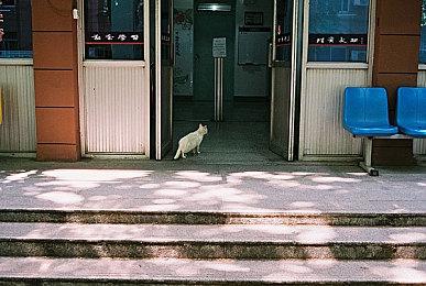 复古动作冒险游戏《Master Key》 现已开启众筹