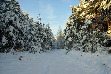 《救国少女之斯娜静歌》现已发售，并公布全新预告片